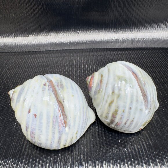 Hand Made Card Holder Stoneware Shell Conch Set 2 Decorative Hand Crafted Figure - Picture 9 of 12